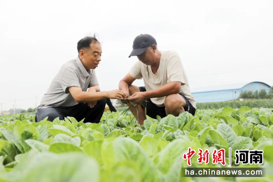 图为农技指导服务现场。 图为农技指导服务现场。