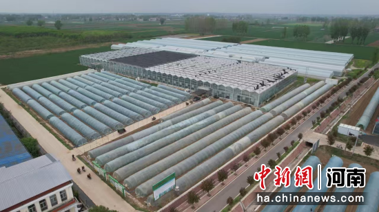 图为红薯产业园。(无人机照片)襄城县委宣传部供图 图为红薯产业园。(无人机照片)襄城县委宣传部供图