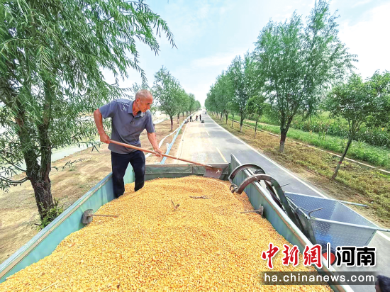 图为村民趁晴晒粮。 图为村民趁晴晒粮。