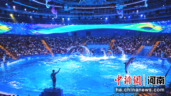 图为海昌海洋公园海洋演出精彩上演。 图为海昌海洋公园海洋演出精彩上演。