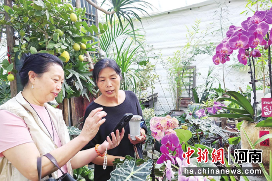 图为顾客选购花卉。 图为顾客选购花卉。