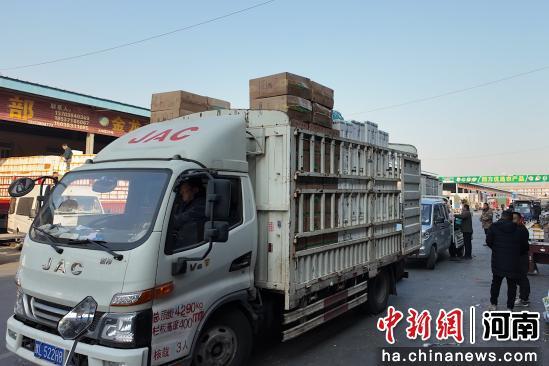 中新网报道：探访河南“菜篮子”：货足价稳物流忙(图2)
