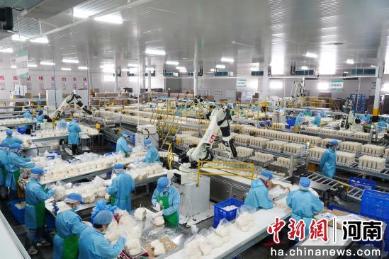 河南確山：食用菌智能車間生產(chǎn)忙