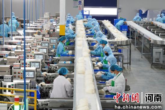 河南确山：食用菌智能车间生产忙