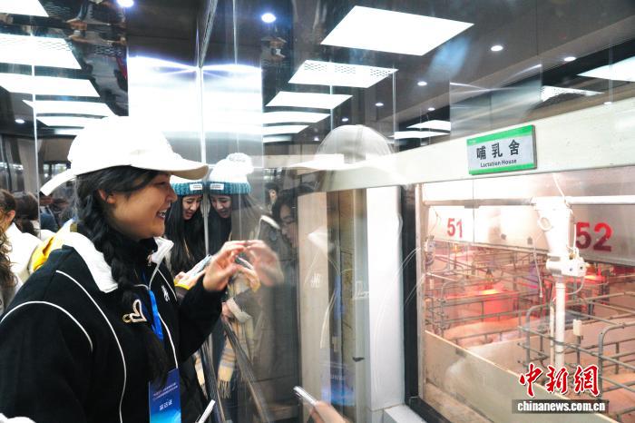 ������������ɫ��ҵ�������򾭼á�������