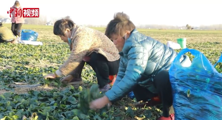 ���ϡ�ſ�ز��ˡ��ߺ� ��ֲ��Ц�ơ����ζ����ڡ�