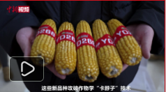 ����һ��Уɹ�Ƽ����� ѧ�����顰�����ӡ��䡰���롱