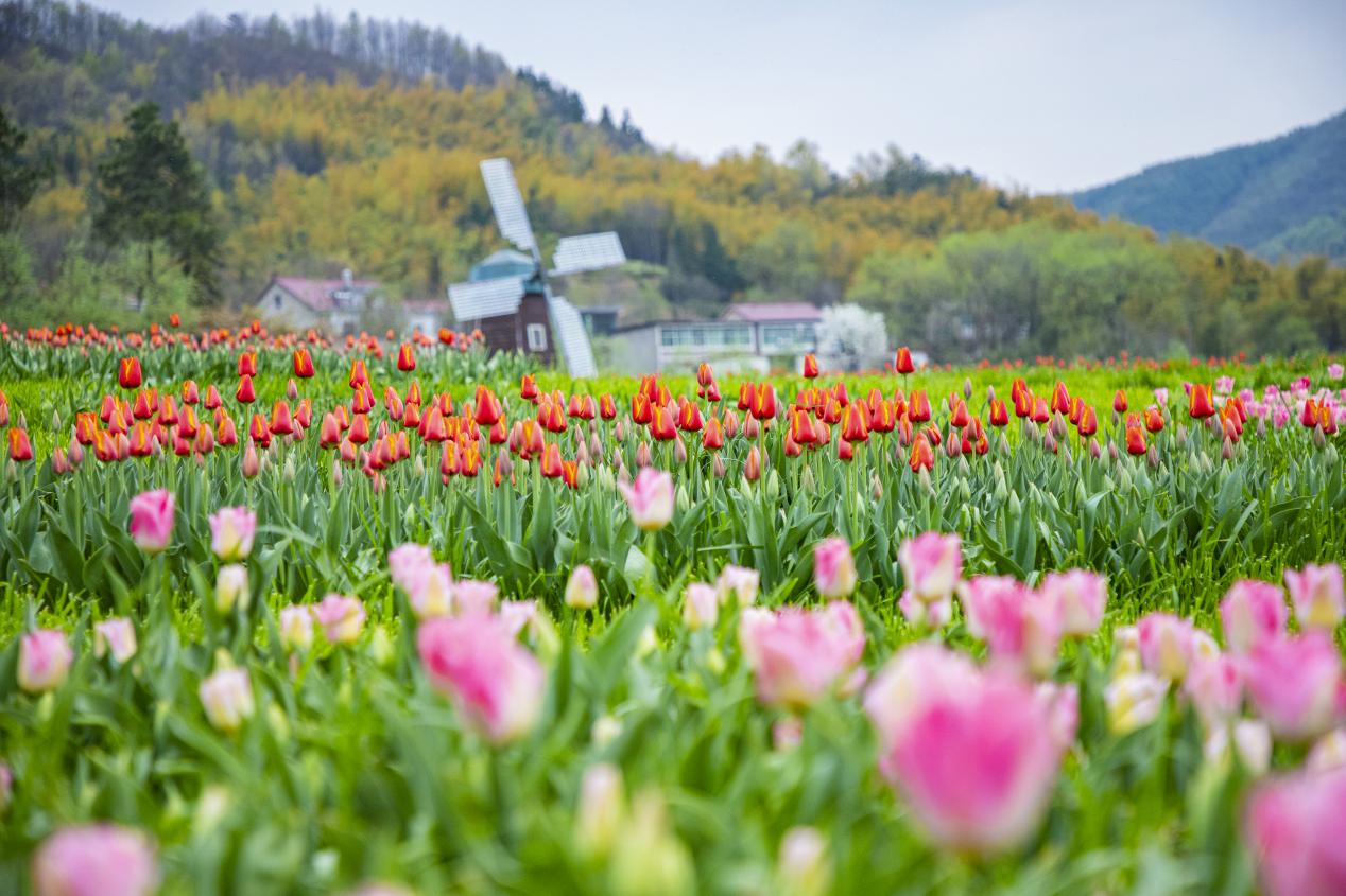 �߽����˱�������ǧ��Ĵ���