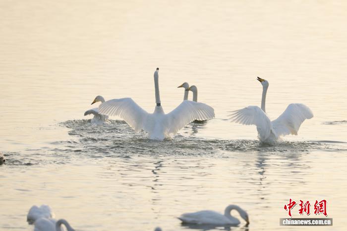 ��������ݡ�ˮ�ϰ��١�