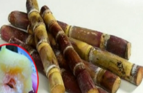 ʳ�ø���ʱ�����ġ����ġ�