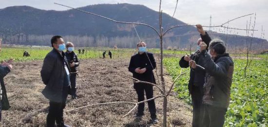 淅川县乡镇人口排名_淅川县乡镇地图(3)