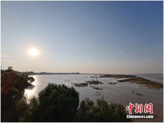【母亲河畔的中国】走进开封黄河生态廊道：荒滩变花海 人在画中游