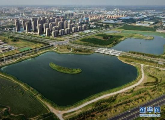 母亲河畔的中国｜贫地变良田，小麦、棉花、油料在兰考遍地开花