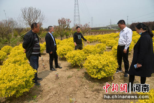 gdp鄢陵(3)