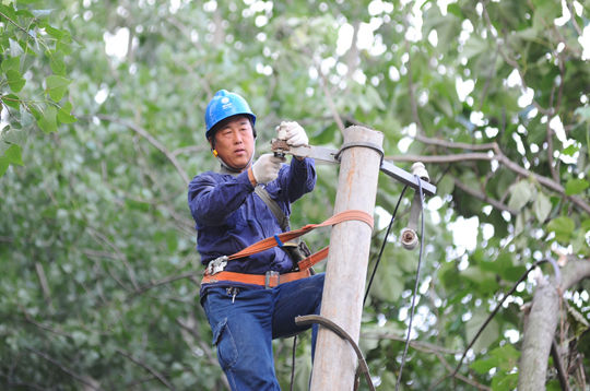 郸城供电公司 抢修强对流天气破坏的电力线路