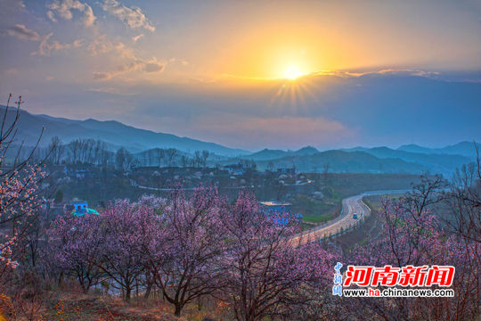 明年花开与君约 奇境栾川山花节展示栾川乡村
