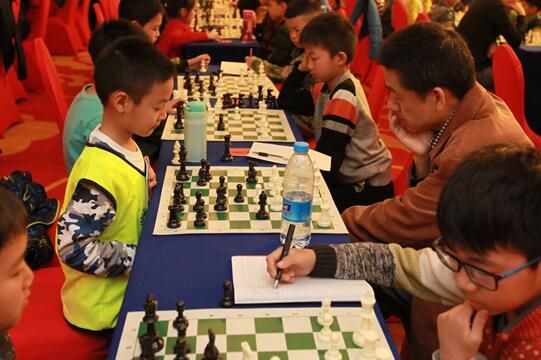 2017年白果树杯全国国际象棋棋协大师赛在郑