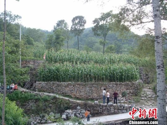 河南农村人口_河南农村