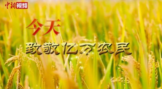 中国农民丰收节：礼赞丰收 致敬农民