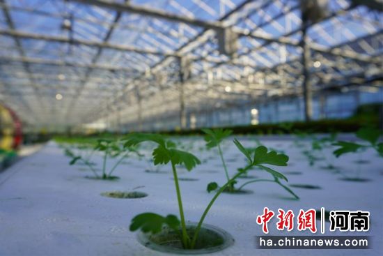 ͼΪDFT����֧��ˮ��������硣������ ��