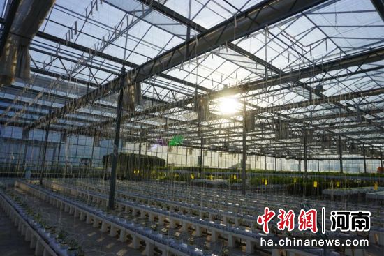 ͼΪ��ԭũ���������ҡ������� ��