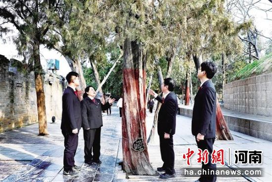 ͼΪ�ɾ����ڲ鿴�������������