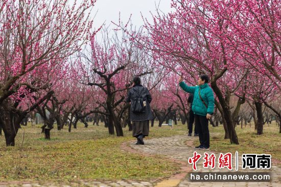 ͼΪ�ο��ڻƺ�÷԰���մ򿨡�