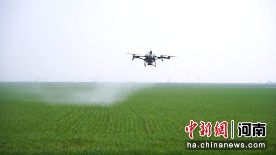 ͼΪֲ�����˻����������ϡ�