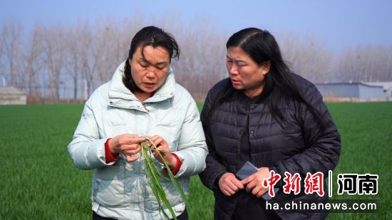 ͼΪר���ڸ�ũ��ָ����ѧʩ�ʡ�