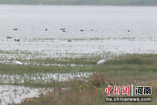 ͼΪ�ֳ���⵽��ˮ��