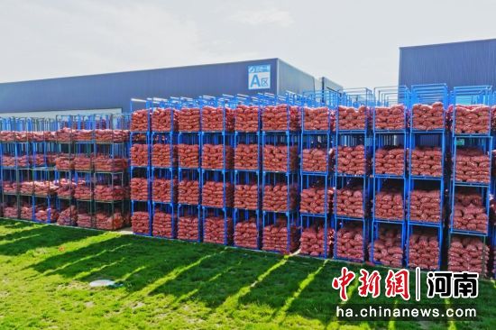 ͼΪ��ش�����ʽ����г������⼯�жѷ���ɹ��