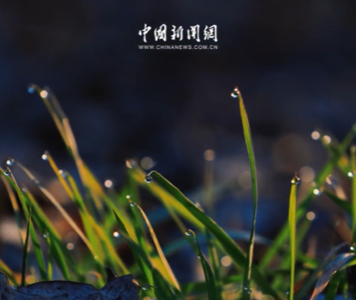 ���ݣ����������� δ���Կ���