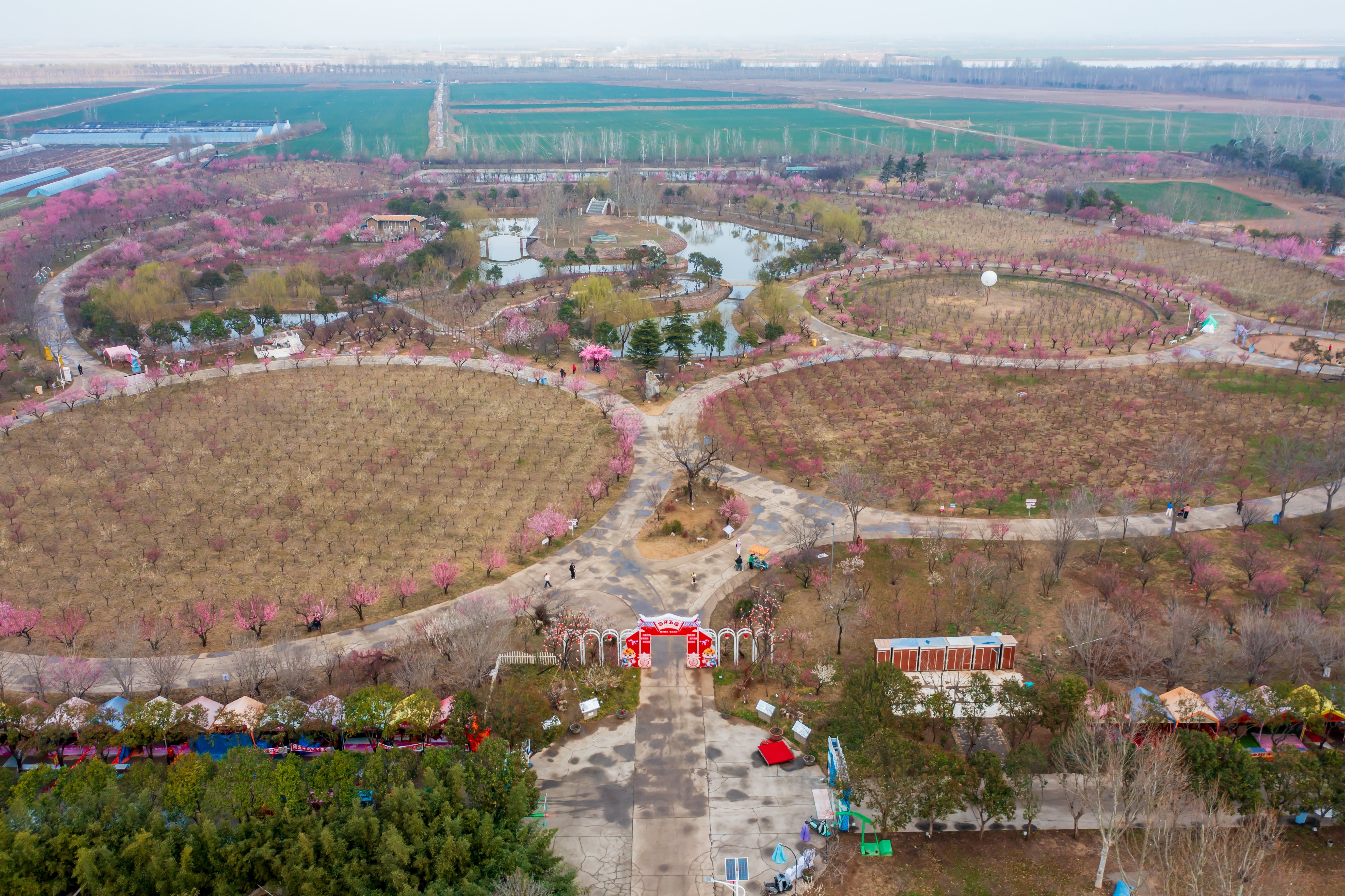 ֣�ݣ��ƺ�̲��÷����