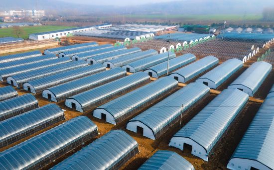 絳ׯ壺Ԫҵͺ塰ʵͼ