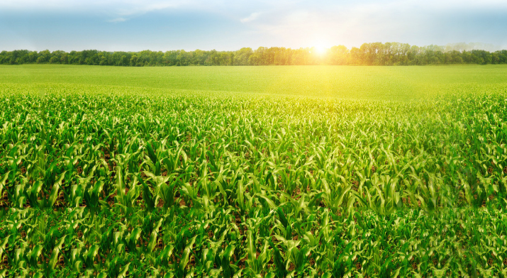 �����ҵ��2025�й�������ҵ˫Ӱ������